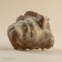 90002 Megperzselt -1