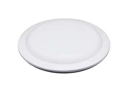 Linza-dla-formovki-i-sushki-tarelka-ploskaya- d21-5 sm-2