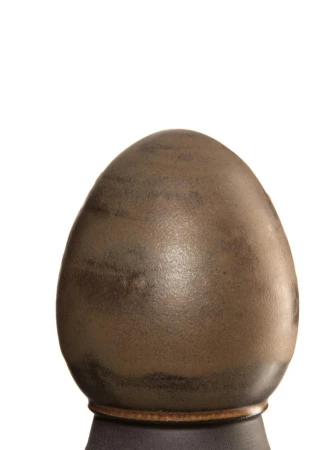 glazur-1411-muskatnyy-orekh-spectrum-2