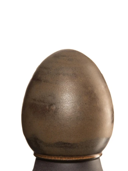 glazur-1411-muskatnyy-orekh-spectrum-2 glazur-1411-muskatnyy-orekh-spectrum-2