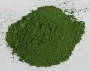 pigment-ep-14-temno-zelenyy-50-gr-4