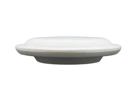 Linza-dla-formovki-i-sushki-tarelka-ploskaya- d21-5 sm-1