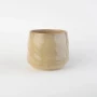 glazur-10011-vandijkophrynus-robinsoni-ovo-ceramics-4