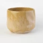 glazur-10018-megophrys-nasuta-ovo-ceramics-4