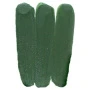 pigment-ep-14-temno-zelenyy-50-gr-4