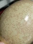 Glazur-SG 1556-aic-kofe-(335 мл), REFSAN-4 Glazur-SG 1556-aic-kofe-(335 мл), REFSAN-4