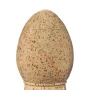 glina-8251-goerg-schneider-10-kg-7