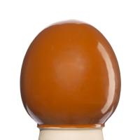 Glazur-suspenziya-RSG-9021-1-kg-REFSAN-1 Glazur-suspenziya-RSG-9021-1-kg-REFSAN-1