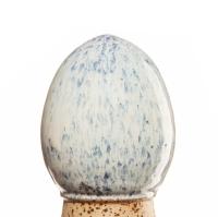 glazur-1173-spectrum glazur-1173-spectrum