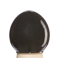 Glazur-suspenziya-RSG-9010-1-kg-REFSAN-1 Glazur-suspenziya-RSG-9010-1-kg-REFSAN-1