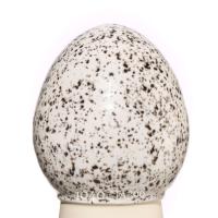 Glazur- GC 2095 -Dalmatin- (118 мл), REFSAN-1