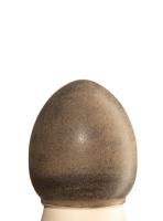 glazur-1412-drevesnyy-ugol-spectrum-1 glazur-1412-drevesnyy-ugol-spectrum-1