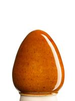 glazur-1543-svetlyy-kofe-spectrum-1