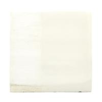 Angob-beliy- (210 ml), Glavglazur-1