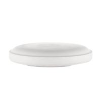 Linza-dla-formovki-i-sushki-tarelka-ploskaya- d22 sm-1 Linza-dla-formovki-i-sushki-tarelka-ploskaya- d22 sm-1