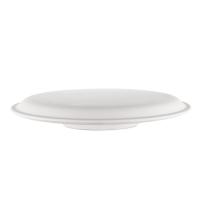 Linza-dla-formovki-i-sushki-tarelka-ploskaya- d31 sm-1