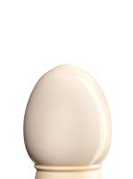 glazur-1510-belaya-spectrum-1