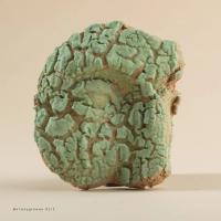 90008 Bortoredekek -1