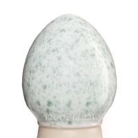 Glazur-SG 1242-Plesen-(118 мл), REFSAN-1