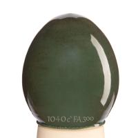 Glazur-GC 1009-olivkovo-zelenaya-(335 мл), REFSAN-1