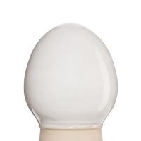 Glazur- GCS 3001 -belaya-(335 мл), REFSAN-1