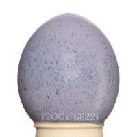 10092-Vecherniy-strukovskiy-1