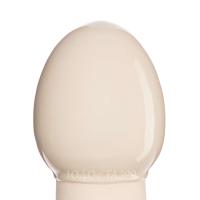 Glazur-GCS 2260-prozrachnaya (118 мл), REFSAN-1