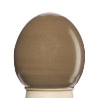 Glazur-suspenziya-RSG-9022-1-kg-REFSAN-1 Glazur-suspenziya-RSG-9022-1-kg-REFSAN-1