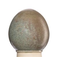 Glazur-suspenziya-RSG-9011-1-kg-REFSAN-1