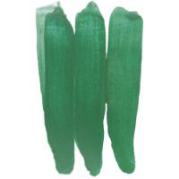 pigment-ep-23-salatovyy-50-gr-1
