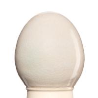 Glazur-suspenziya-RSG-9005-1-kg-REFSAN-1