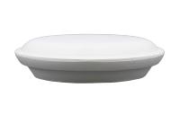 Linza-dla-formovki-i-sushki-tarelka-ploskaya- d19 sm-1