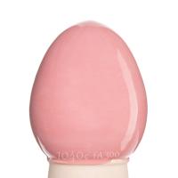 Glazur- GCO 753 -krasnaya- (118 мл), REFSAN-1