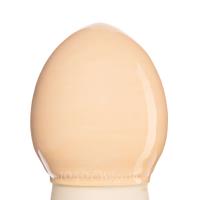 Glazur- GCO 176-losos- (335 мл), REFSAN-1