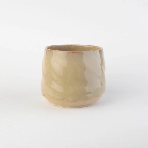 glazur-10011-vandijkophrynus-robinsoni-ovo-ceramics-2