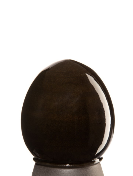 glazur-1543-svetlyy-kofe-spectrum-2