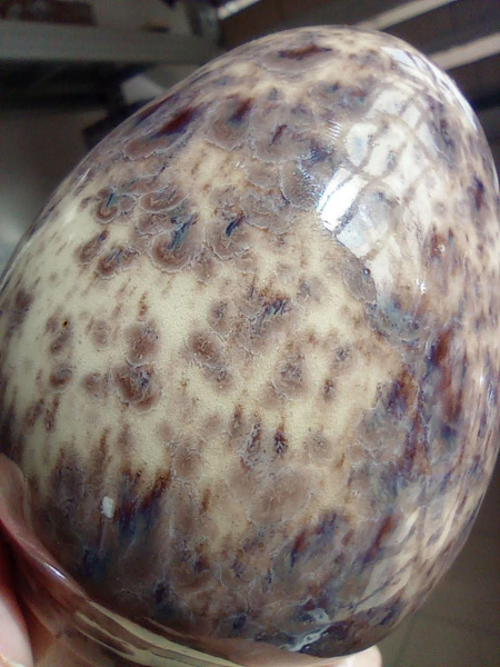 Glazur-SG 1285-Chia-(118 мл), REFSAN-5 Glazur-SG 1285-Chia-(118 мл), REFSAN-5