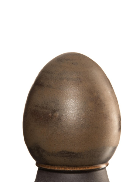 glazur-1411-muskatnyy-orekh-spectrum-2 glazur-1411-muskatnyy-orekh-spectrum-2