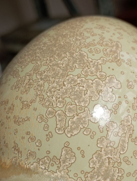 Glazur-SG 1556-aic-kofe-(118 мл), REFSAN-3