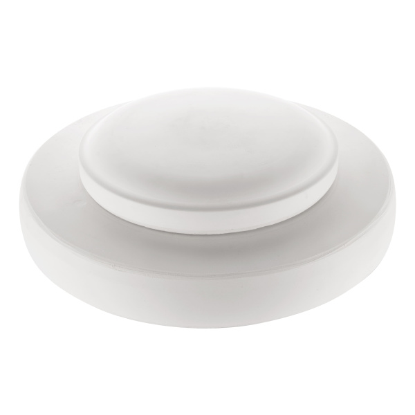 Linza-dla-formovki-i-sushki-tarelka-ploskaya- d22 sm-2