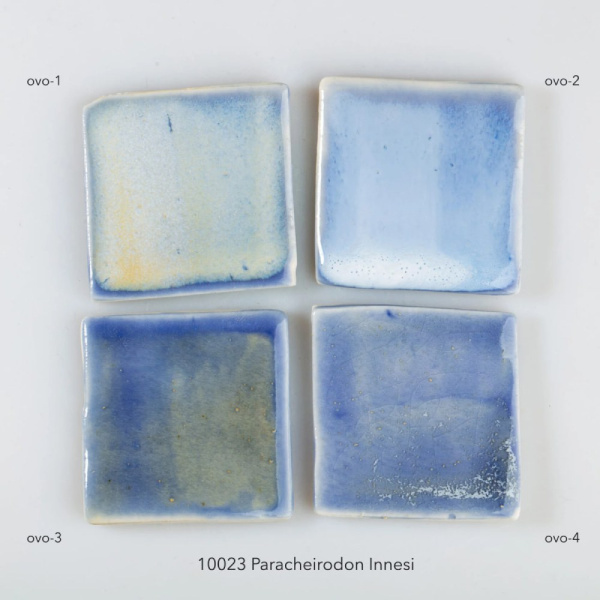 Glazur-10023-Paracheirodon- Innesi-4