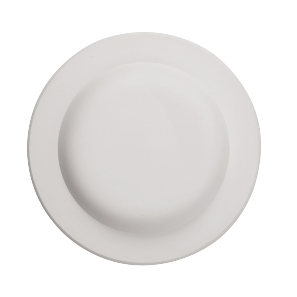 Linza-dla-formovki-i-sushki-tarelka-ploskaya- d16 sm-2