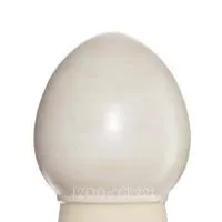 Glazur-SG 1372-belaya-matovaya-(335 мл), REFSAN-1