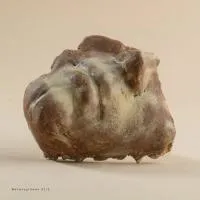 90002 Megperzselt -1 90002 Megperzselt -1