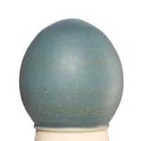 Glazur-suspenziya-RSG-9014-1-kg-REFSAN-1 Glazur-suspenziya-RSG-9014-1-kg-REFSAN-1
