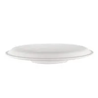 Linza-dla-formovki-i-sushki-tarelka-ploskaya- d31 sm-1 Linza-dla-formovki-i-sushki-tarelka-ploskaya- d31 sm-1