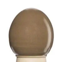 Glazur-suspenziya-RSG-9022-1-kg-REFSAN-1