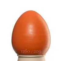 Glazur_O-10584_korallovaya_1_kg_1 Glazur_O-10584_korallovaya_1_kg_1