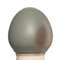 Glazur-suspenziya-RSG-9020-1-kg-REFSAN-1 Glazur-suspenziya-RSG-9020-1-kg-REFSAN-1