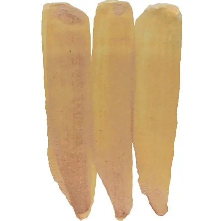 pigment-ep-50-zheltaya-okhra-50-gr-1 pigment-ep-50-zheltaya-okhra-50-gr-1
